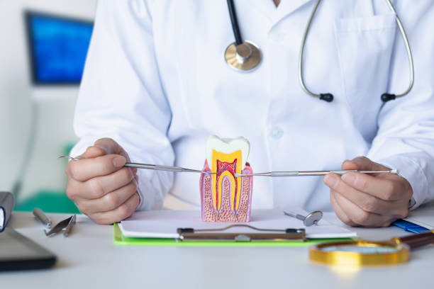 Best Emergency Dental Care for Sports Injuries in Wheaton, MN